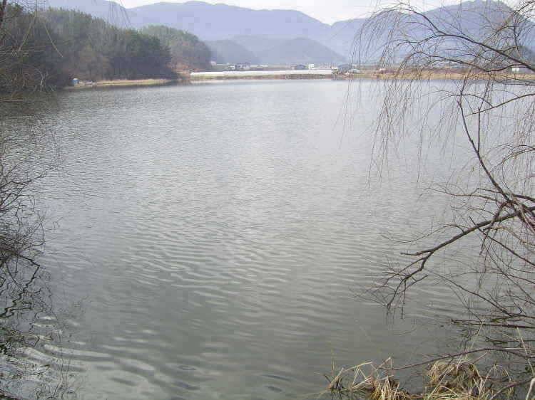 경주권 2월26일 월척조황입니다 (조황조행기 - 특파원조황)