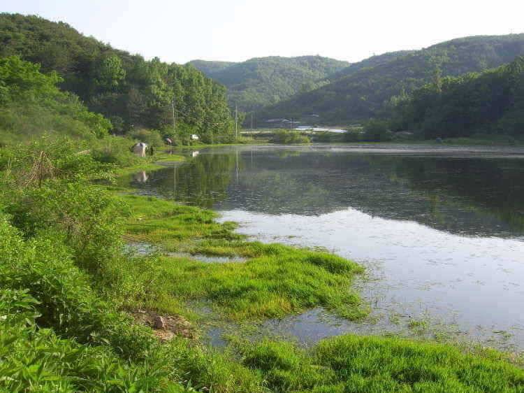 경주권 5월25일 월척붕어조황입니다 (조황조행기 - 특파원조황)