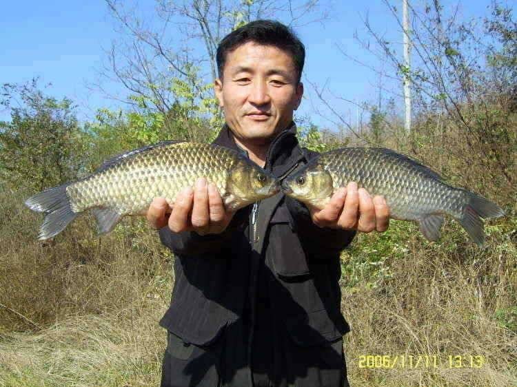 경주권11월11일 월척조황입니다 (조황조행기 - 특파원조황)