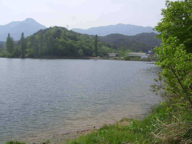 경주권 5월6일 계속이어지 4짜대물 마릿수 조황입니다 (조황조행기 - 특파원조황)