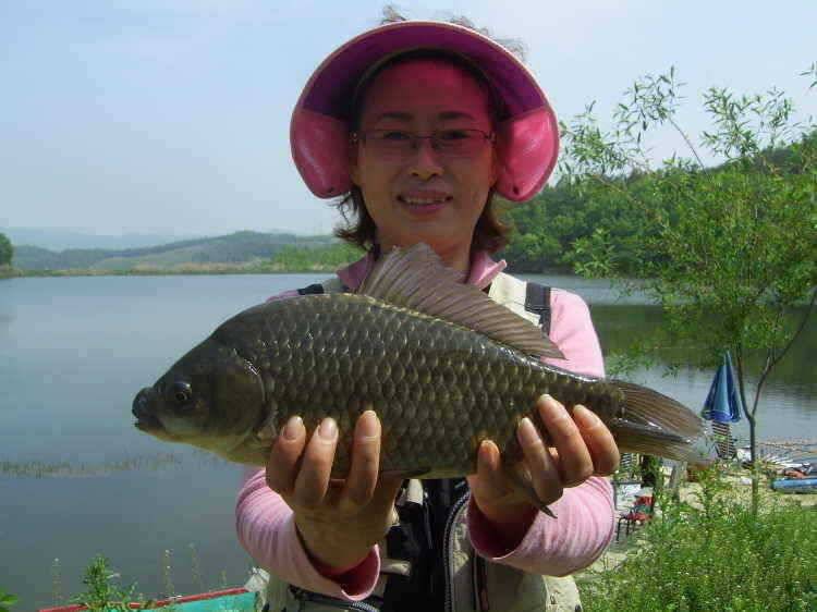 경주권 5월6일 계속이어지 4짜대물 마릿수 조황입니다 (조황조행기 - 특파원조황)
