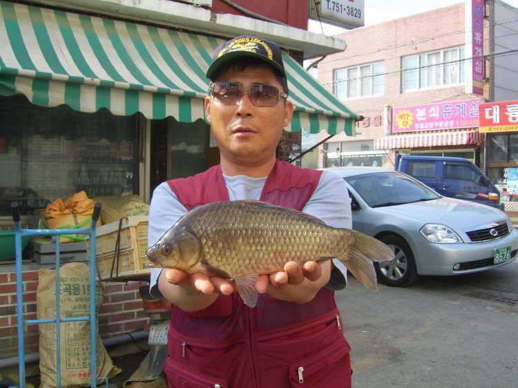 경주권 5월6일 계속이어지 4짜대물 마릿수 조황입니다 (조황조행기 - 특파원조황)