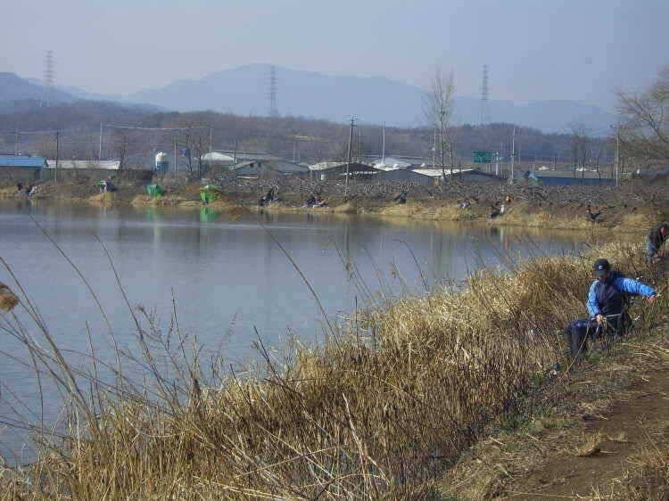 경주권 2월20일 조황입니다 (조황조행기 - 특파원조황)