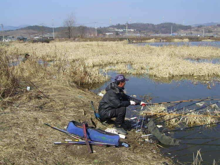 경주권 2월20일 조황입니다 (조황조행기 - 특파원조황)