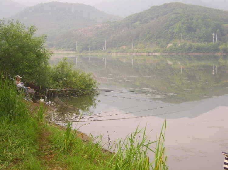 경주권 6월 13일 46cm대물붕어조황입니다 (조황조행기 - 특파원조황)