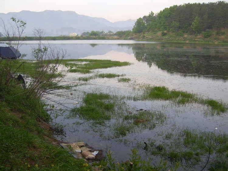 경주권 5월 10일 월척 조황입니다 (조황조행기 - 특파원조황)