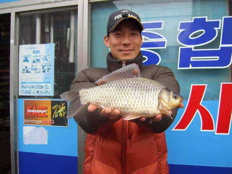 경주권 3월4일 37cm 34cm대물붕어조황입니다 (조황조행기 - 특파원조황)