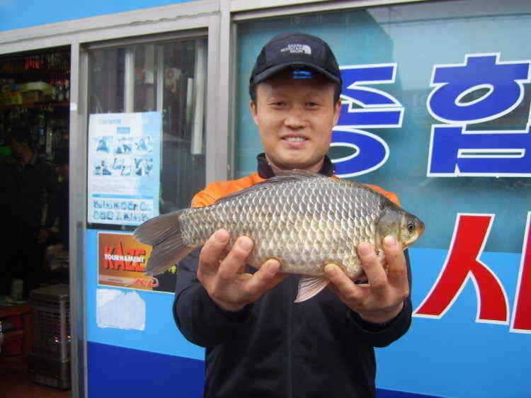 경주권 3월4일 37cm 34cm대물붕어조황입니다 (조황조행기 - 특파원조황)
