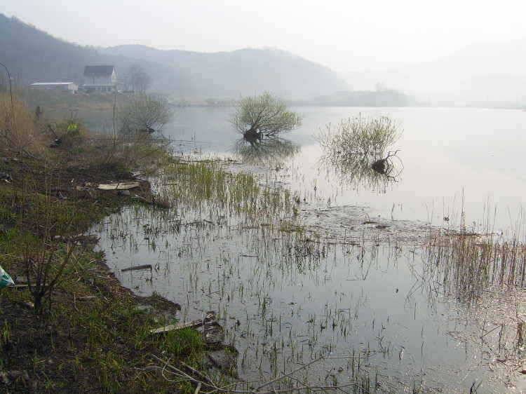 경주권 4월12일 월척붕어조황입니다 (조황조행기 - 특파원조황)