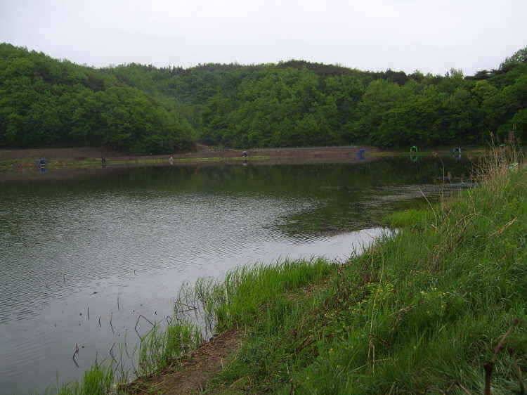 경주권 5월2일 월척붕어조황입니다 (조황조행기 - 특파원조황)
