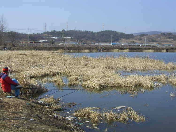 경주권 2월25일 조황입니다 (조황조행기 - 특파원조황)
