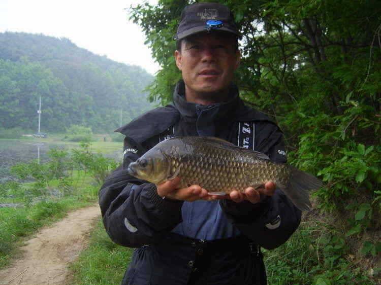 경주권 5월 19일 월척 조황입니다 (조황조행기 - 특파원조황)