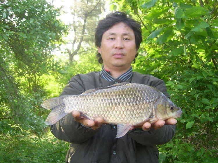 경주권 5월 19일 월척 조황입니다 (조황조행기 - 특파원조황)