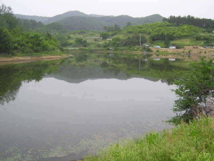 경주권 5월28일 월척붕어조황입니다 (조황조행기 - 특파원조황)
