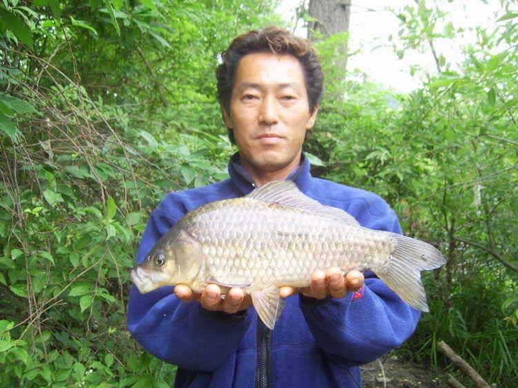 경주권 5월28일 월척붕어조황입니다 (조황조행기 - 특파원조황)