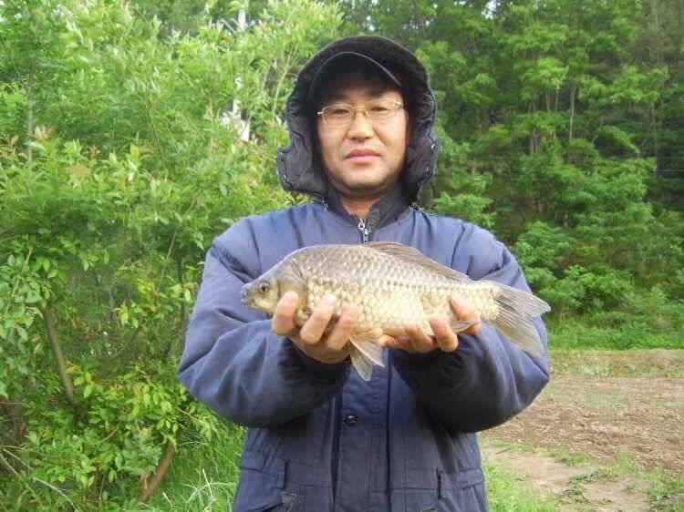경주권 5월28일 월척붕어조황입니다 (조황조행기 - 특파원조황)