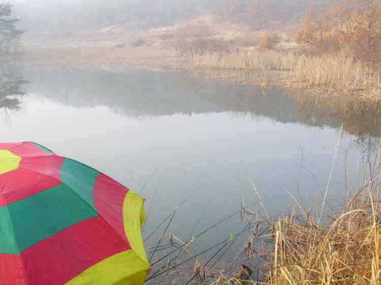 경주권 3월23일 월척조황입니다 (조황조행기 - 특파원조황)