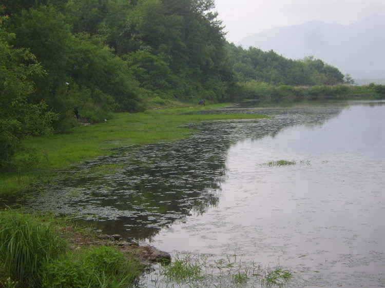 경주권 5월 21일 월척 조황입니다 (조황조행기 - 특파원조황)