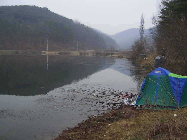 경주권 3월15일 월척붕어조황입니다 (조황조행기 - 특파원조황)