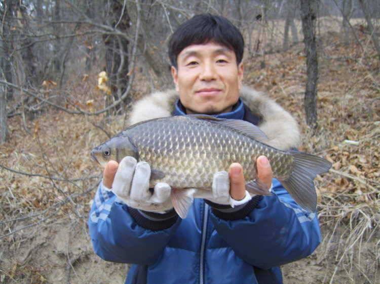 경주권 3월15일 월척붕어조황입니다 (조황조행기 - 특파원조황)