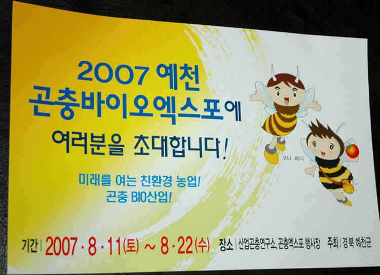 예천권 황사와 강풍속에서도 월척은 움직입니다 1 (조황조행기 - 특파원조황)