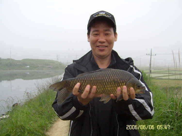 경주권6월6일 계속이어지는 대물 415cm 41cm 33cm 조황입니다 (조황조행기 - 특파원조황)