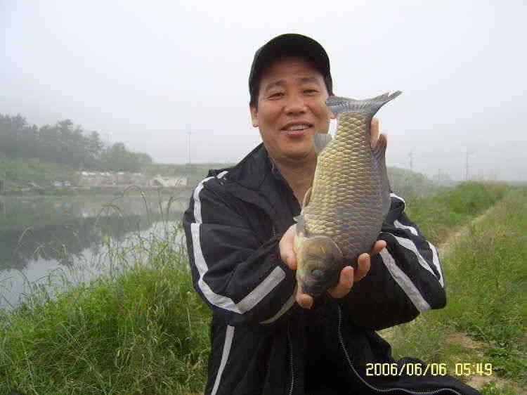 경주권6월6일 계속이어지는 대물 415cm 41cm 33cm 조황입니다 (조황조행기 - 특파원조황)