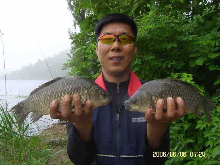 경주권6월6일 계속이어지는 대물 415cm 41cm 33cm 조황입니다 (조황조행기 - 특파원조황)