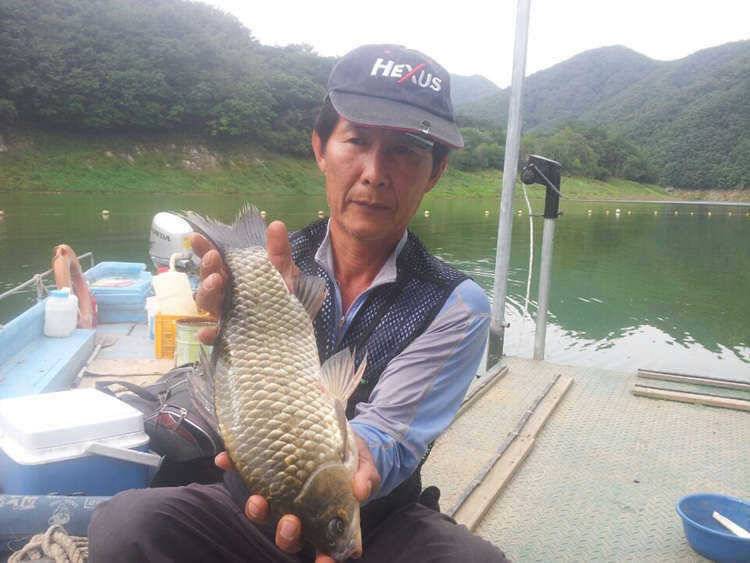 명서낚시터 대물급붕어가 올라오기 시작합니다 (조황조행기 - 특파원조황)