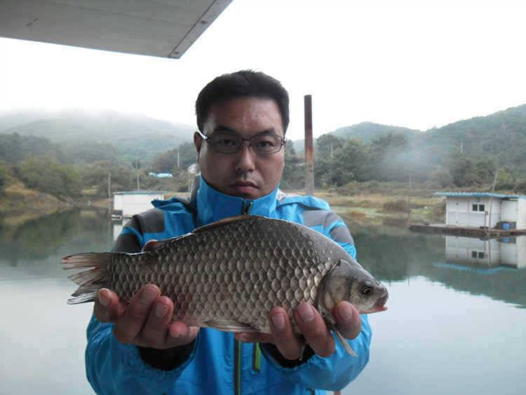 서운리 솔 36cm 월척붕어 오산리 장어소식입니다 (조황조행기 - 특파원조황)