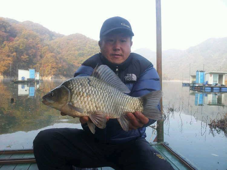 명서낚시터 짙어가는 단풍속에 붕어 씨알도 좋습니다 (조황조행기 - 특파원조황)