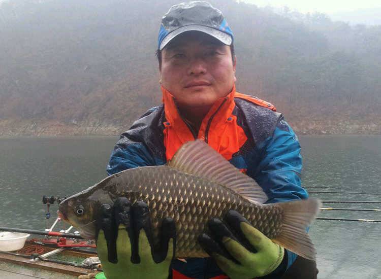 명서리 궂은 날씨에 37 38 39cm대물급 붕어 소식입니다 (조황조행기 - 특파원조황)