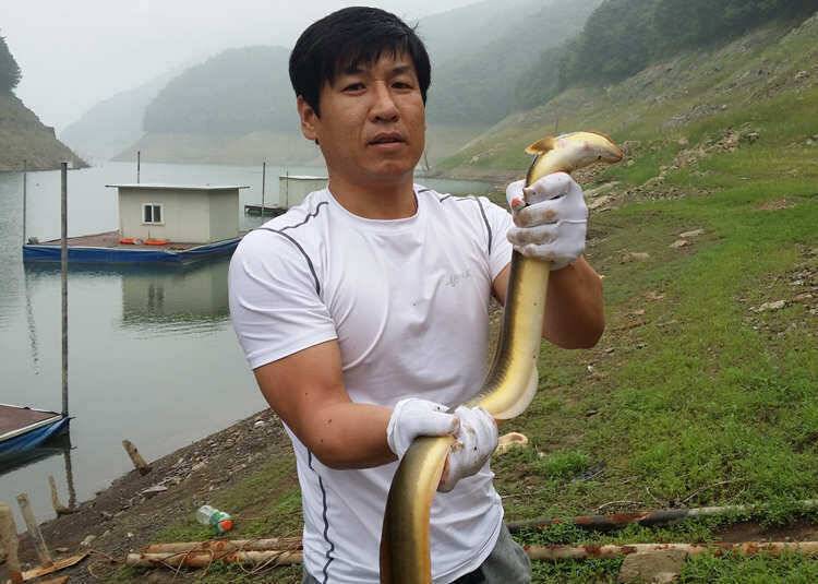 솔낚시터 4짜 대물붕어 두수 오산리 낚시터 대물장어 소식 (조황조행기 - 특파원조황)