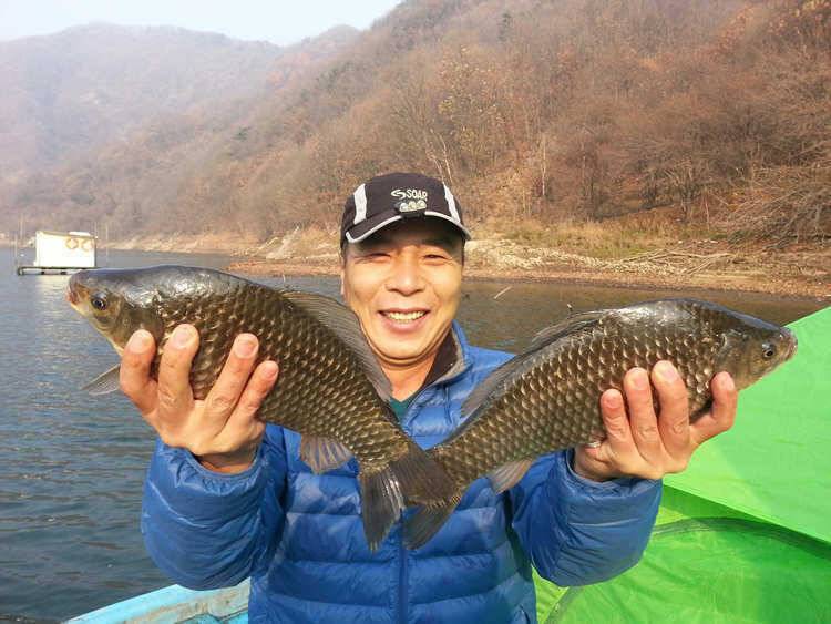 하천 명서리 대물붕어 소식입니다 (조황조행기 - 특파원조황)