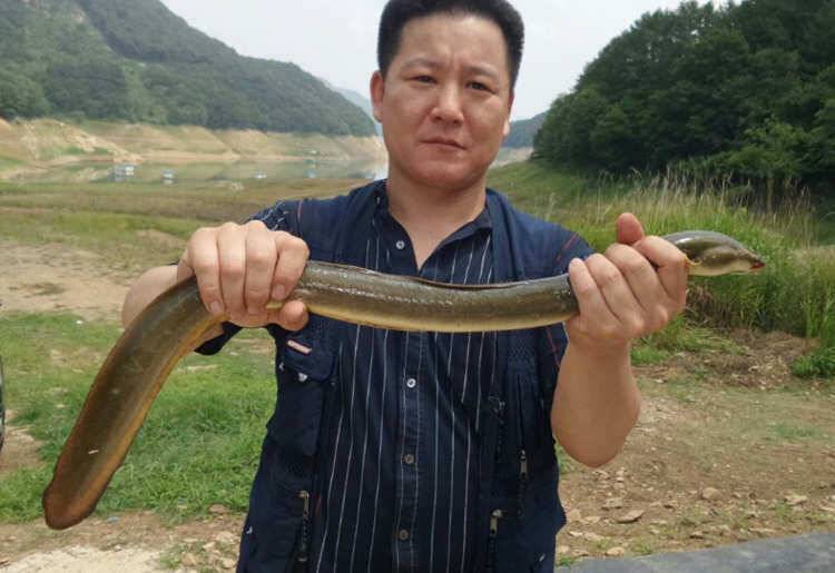 목벌낚시터 붕어 장어조황 살아나는 느낌 (조황조행기 - 특파원조황)