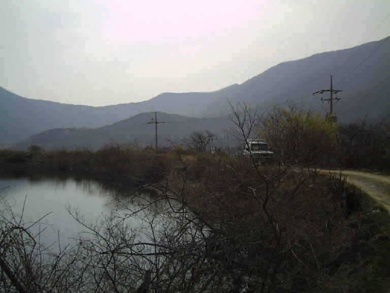 도유지및섬바위지조황 (조황조행기 - 특파원조황)