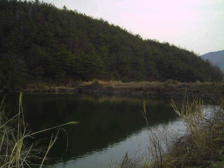 도유지및섬바위지조황 (조황조행기 - 특파원조황)