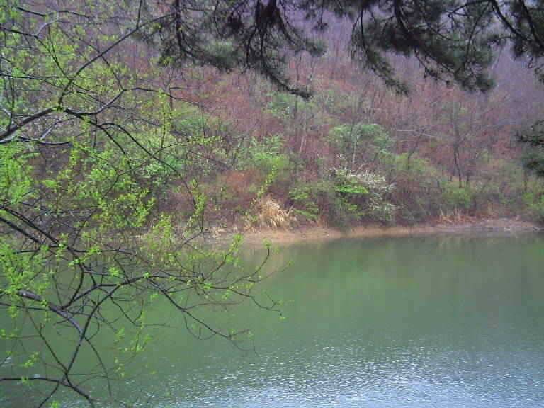 경주모량소류지조황 (조황조행기 - 특파원조황)