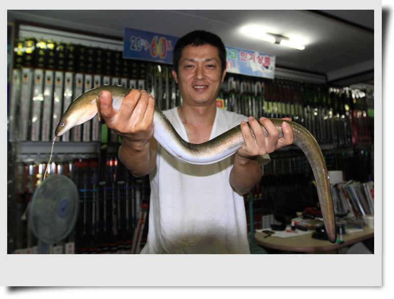뱀장어 시즌개막 (조황조행기 - 특파원조황)