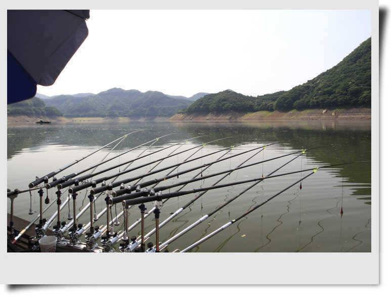 하천 붕어와 명서낚시터 소식 (조황조행기 - 특파원조황)
