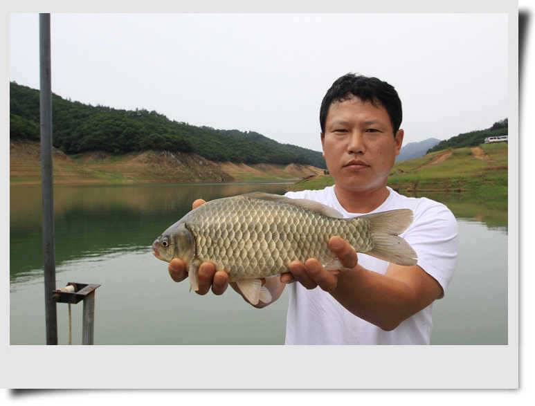서운에서 만난 멋진 월척 (조황조행기 - 특파원조황)
