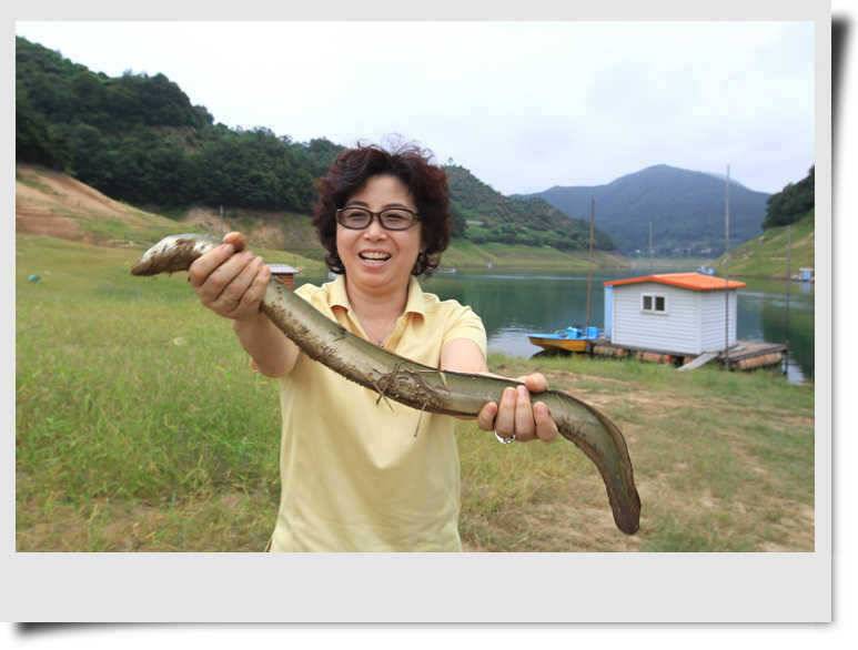 행복한 모습들 (조황조행기 - 특파원조황)
