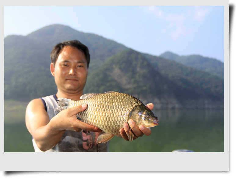 충주호 다시 살아납니다 (조황조행기 - 특파원조황)
