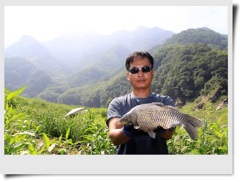 충주호 주말예보 (조황조행기 - 특파원조황)