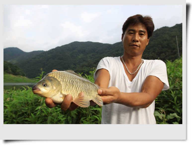 월척과 5짜 (조황조행기 - 특파원조황)