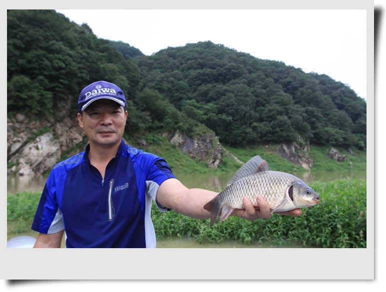 2차 오름을 기대합니다 서버문제 해결 (조황조행기 - 특파원조황)