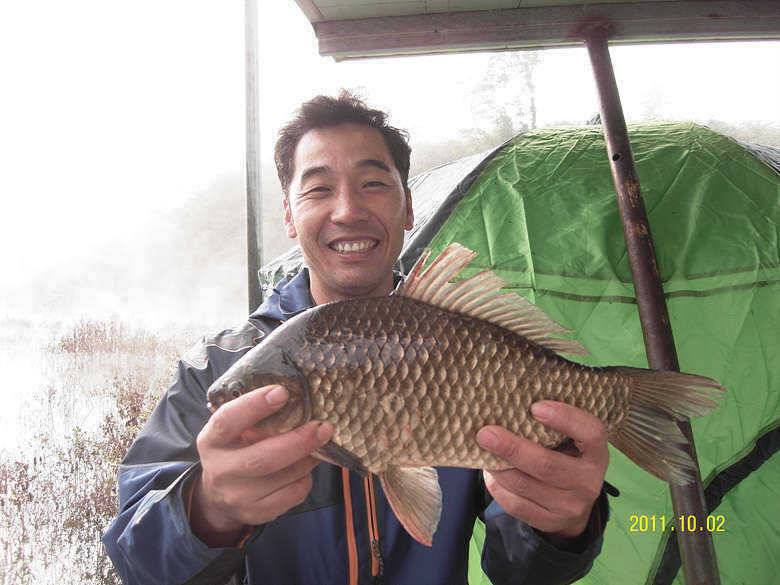 하천리 오랜만에 395cm 대물붕어 소식입니다 (조황조행기 - 특파원조황)