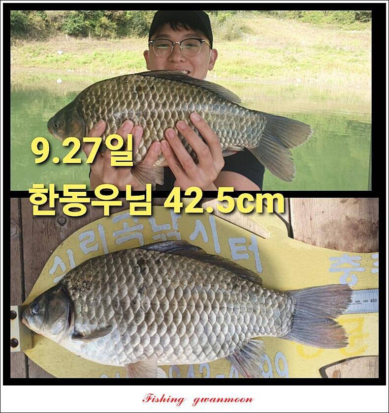 실리곡 44 cm41 cm40 cm돌감 40 cm사짜 조황 및 이벤트 시상 (조황조행기 - 특파원조황)