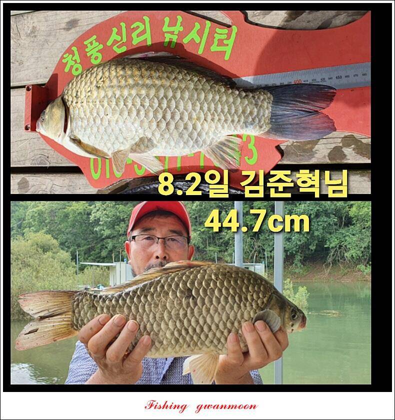 실리곡 44 cm41 cm40 cm돌감 40 cm사짜 조황 및 이벤트 시상 (조황조행기 - 특파원조황)