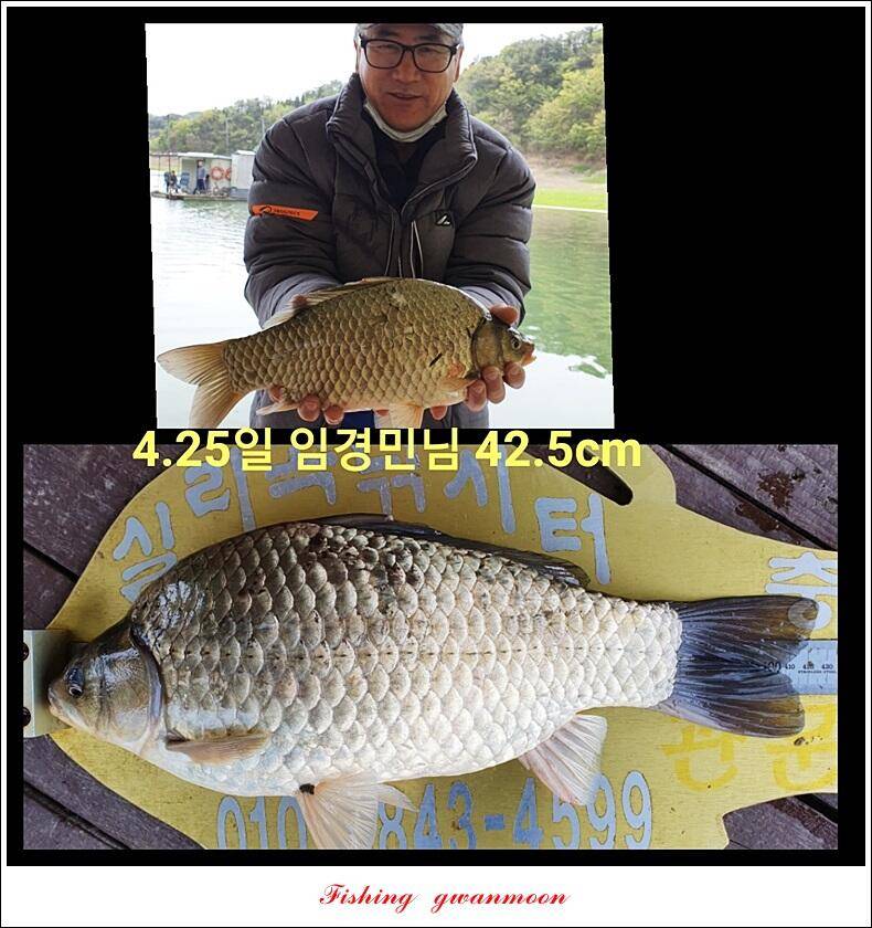 신리실리곡최대어 이벤트 시상식 (조황조행기 - 특파원조황)